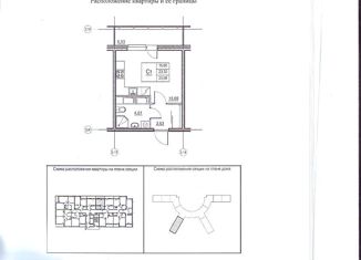 Продаю квартиру студию, 25.3 м2, Санкт-Петербург, улица Типанова, 23с1, улица Типанова
