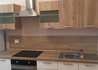 Сдаю в аренду 1-комнатную квартиру, 55 м2, Екатеринбург, улица Гоголя, 57, ЖК Дипломат