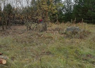 Продам земельный участок, 20 сот., село Степаново