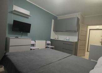 Продается квартира студия, 22.2 м2, Санкт-Петербург, Политехническая улица, 6, метро Площадь Мужества