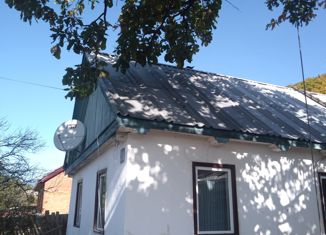 Продается дом, 37 м2, село Новая Сила, Центральная улица, 30