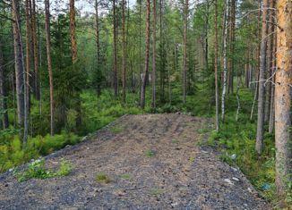 Продается участок, 15 сот., СНТ Катунинец, СНТ Катунинец, 83