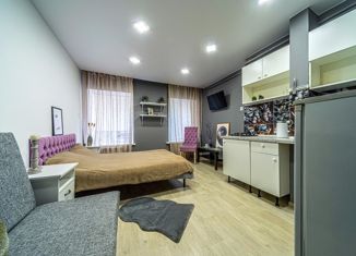 Продается квартира студия, 28 м2, Санкт-Петербург, Кадетская линия, 17, Кадетская линия