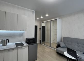 Квартира на продажу студия, 26.8 м2, Санкт-Петербург, Студенческая улица, 14к2, Студенческая улица