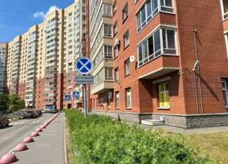 Продаю 2-ком. квартиру, 58.9 м2, Санкт-Петербург, улица Бадаева, 14к1, метро Проспект Большевиков