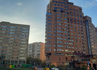 Продажа квартиры студии, 19.5 м2, Москва, 1-я Дубровская улица, 1с2, 1-я Дубровская улица