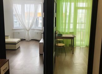 1-ком. квартира на продажу, 32.6 м2, Санкт-Петербург, улица Лётчика Лихолетова, 14к2