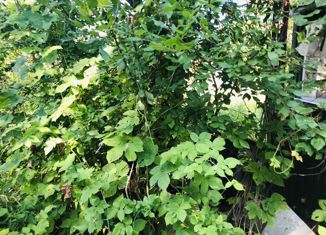 Продажа участка, 6.4 сот., деревня Цаплино, деревня Цаплино, 143