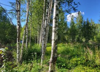Продаю земельный участок, 31.5 сот., коттеджный посёлок Ближний Хутор