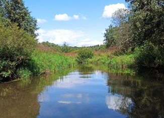 Продаю земельный участок, 295 сот., деревня Ульянки