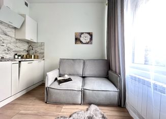 Продаю 1-комнатную квартиру, 17 м2, Москва, Электрозаводская улица, 14с1, метро Электрозаводская