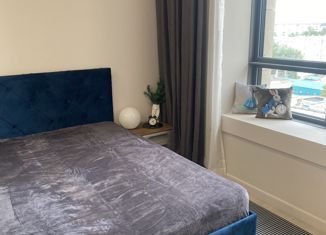 Сдается квартира студия, 26 м2, Москва, Ленинградский проспект, 34А, район Беговой