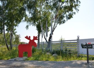 Участок на продажу, 10.1 сот., село Плотниково, проспект Просторный