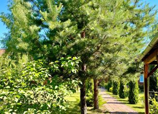 Продаю дом, 234 м2, СНТ Алмаз, СНТ Алмаз, 38