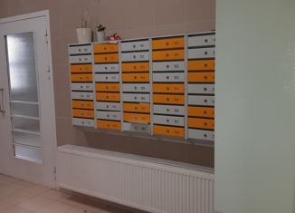 Продаю двухкомнатную квартиру, 56.9 м2, Санкт-Петербург, улица Корнея Чуковского, 3к3, улица Корнея Чуковского