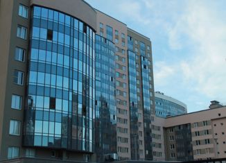 Сдается в аренду квартира студия, 26 м2, Санкт-Петербург, улица Катерников, 7, улица Катерников