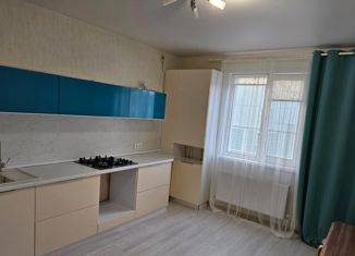 2-ком. квартира в аренду, 60 м2, деревня Куюки, 13-й квартал, 1