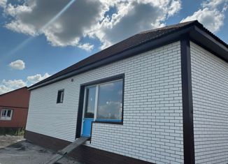 Продам дом, 70 м2, село Васильевка, Новая улица, 7