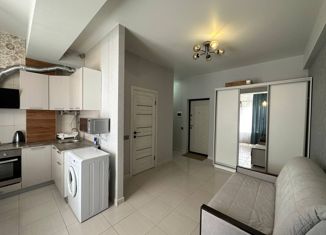 Продам квартиру студию, 25 м2, Сочи, Вишнёвая улица, 18/3, микрорайон Макаренко