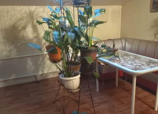 Продам квартиру студию, 40 м2, деревня Кабицыно, микрорайон Молодёжный, 4