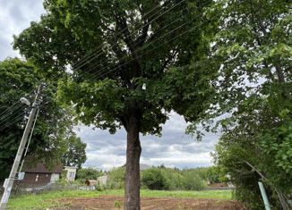 Продается земельный участок, 7.5 сот., деревня Петушки, деревня Петушки, уч23