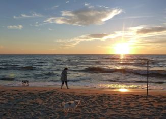 Продается участок, 10 сот., поселок Осокино