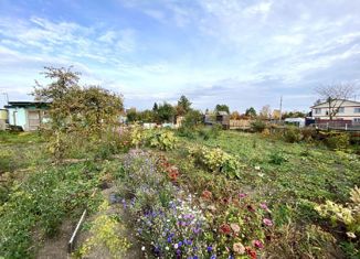 Продажа земельного участка, 6 сот., СНТ Бодрость