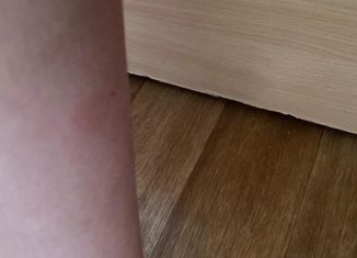 Продаю дом, 80 м2, село Свобода, Механизаторская улица