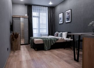 Продается квартира студия, 28 м2, Санкт-Петербург, улица Александра Матросова, 3, ЖК Притяжение