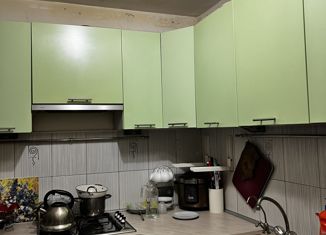 Продается 2-комнатная квартира, 44.1 м2, Санкт-Петербург, улица Кустодиева, 16к1, муниципальный округ № 15