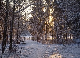 Продажа участка, 9.98 сот., деревня Голубое, 46Н-11389