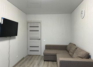 Продажа 1-комнатной квартиры, 33.9 м2, Казань, улица Братьев Батталовых, 20А, ЖК Палитра