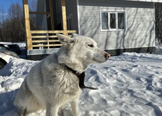 Дом на продажу, 65 м2, Петропавловск-Камчатский, улица Пржевальского, 10