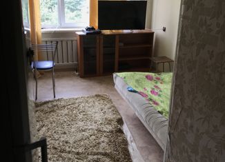 Продажа 1-комнатной квартиры, 16.6 м2, Владивосток, Снеговая улица, 125, Первореченский район