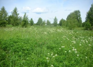 Продаю земельный участок, 35 сот., деревня Брынчаги