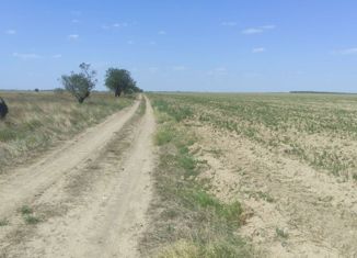 Продам участок, 219 сот., Песчановское сельское поселение