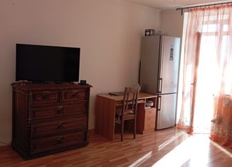 Продается 1-комнатная квартира, 53 м2, Екатеринбург, улица Стачек, 4, улица Стачек