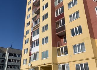 Продам 1-ком. квартиру, 45 м2, рабочий поселок Ишеевка, Пионерская улица, 23