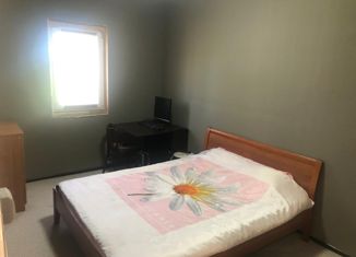 Продается дом, 41.8 м2, деревня Зяблицы, деревня Зяблицы, 20А