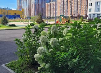 Продам 2-ком. квартиру, 49 м2, Кудрово, проспект Строителей, 5, ЖК Айди Кудрово 3