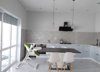 Продаю дом, 140.5 м2, село Дружино, 3-я Весенняя улица