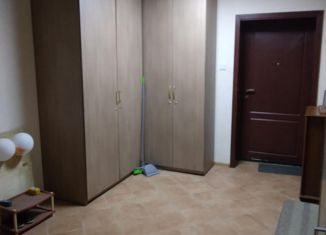 Сдается в аренду 1-комнатная квартира, 45 м2, Нижний Новгород, Обозный переулок, 2, Обозный переулок