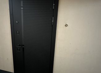 Продаю однокомнатную квартиру, 30.7 м2, Санкт-Петербург, улица Орджоникидзе, 31к1, метро Звёздная