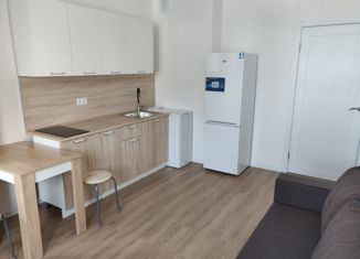 Сдается в аренду квартира студия, 20.6 м2, деревня Столбово, проспект Куприна, 38к2