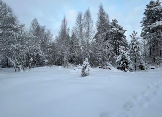 Продается земельный участок, 10 сот., поселок Боровое, посёлок Боровое, 33