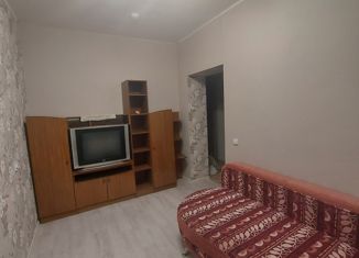 Сдам однокомнатную квартиру, 29.5 м2, село Тополево, Зелёная улица, 30