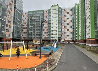 Продажа квартиры студии, 26 м2, посёлок Шушары, Старорусский проспект, 9