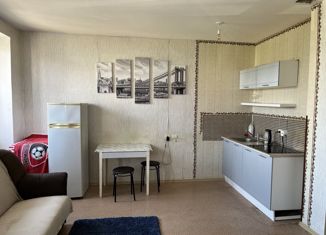 Продажа квартиры студии, 27 м2, Кохма, микрорайон Просторный, 2