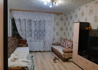 Продажа однокомнатной квартиры, 25.4 м2, Ижевск, улица Михаила Петрова, 37, Восточный жилой район