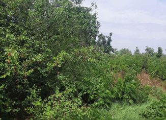 Продам дом, 23 м2, НСТ Ромашка-2, Малиновая улица